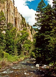 Cimarron River Canyon, New Mexico by StevenM_61