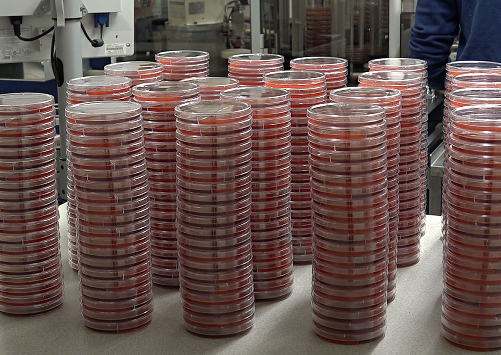 stacks of petri dishes