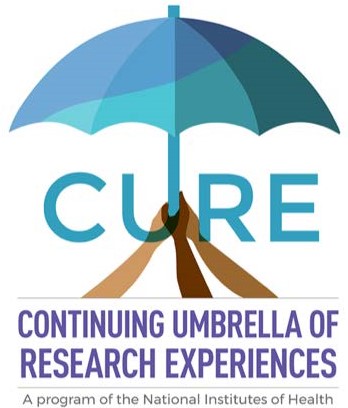 Continuing Umbrella of Research Experiences