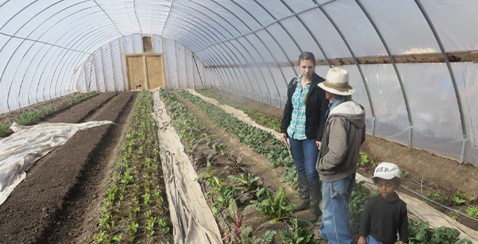 A man, a woman, and a child working standing inside and organic green house
