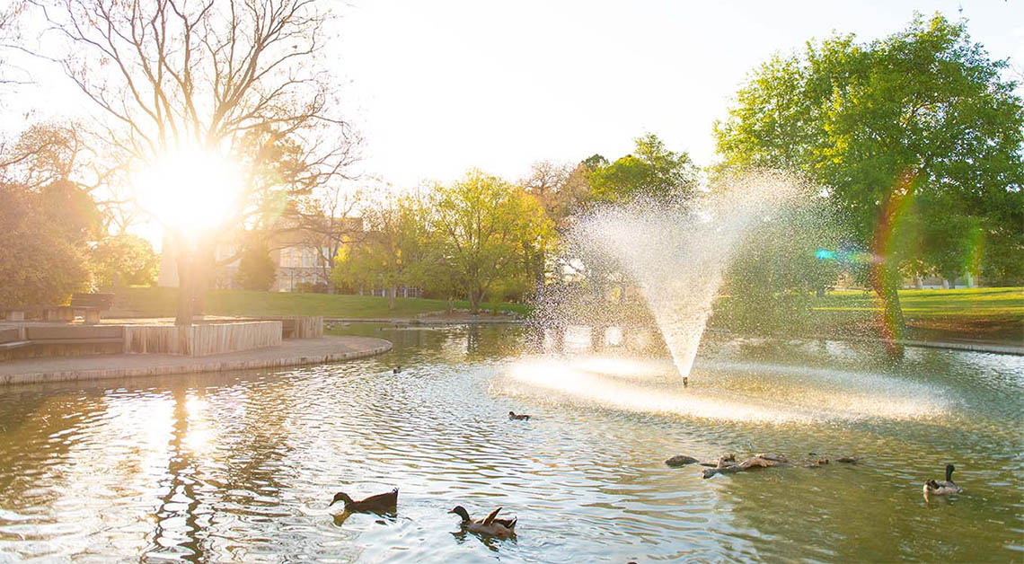 Duck pond with fountain.