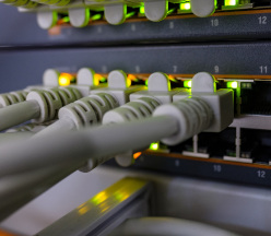 Cables conectados al sistema tecnológico.