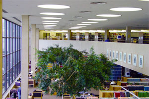 CNAH图书馆