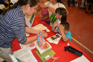 Children at the health fair.