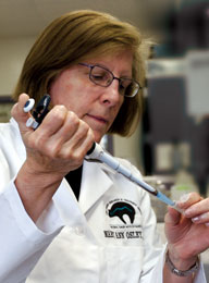 Mary Ann Osley, PhD