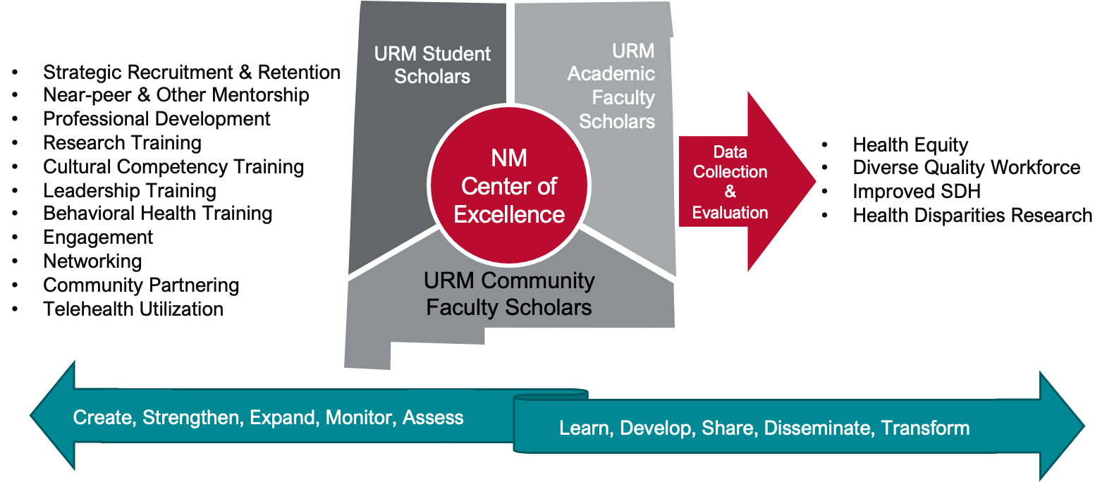 диаграмма, показывающая функции и взаимоотношения URM и Центра передового опыта Нью-Мексико
