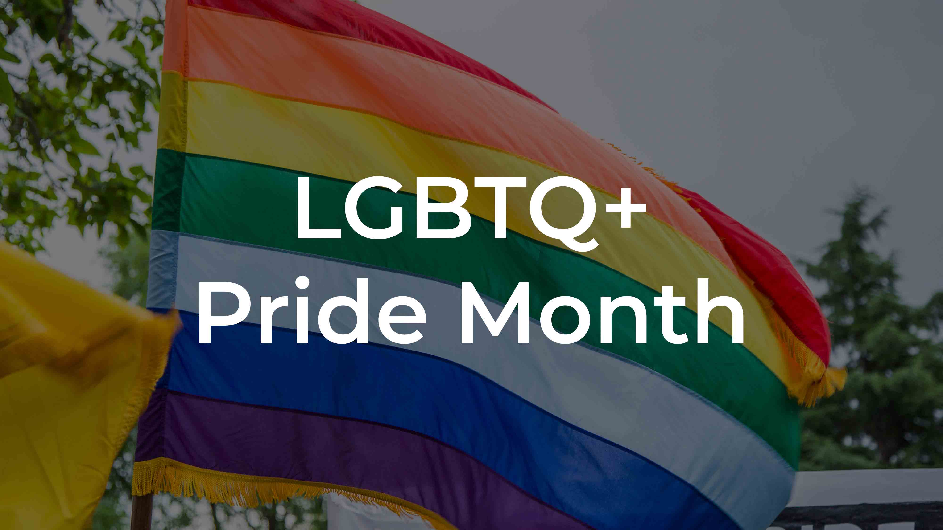 LGBTQ+ Pride-Monats-Schaltfläche
