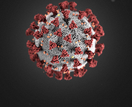 Illustration of a red coronavirus.
