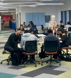 Medical students engaging in group study at HSLIC