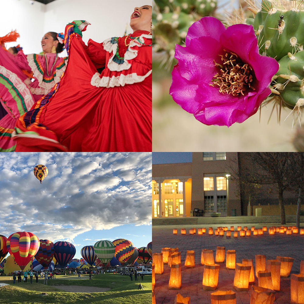 Schnappschüsse von New Mexico Landballons, spanischen Tänzern und Kaktusblüten