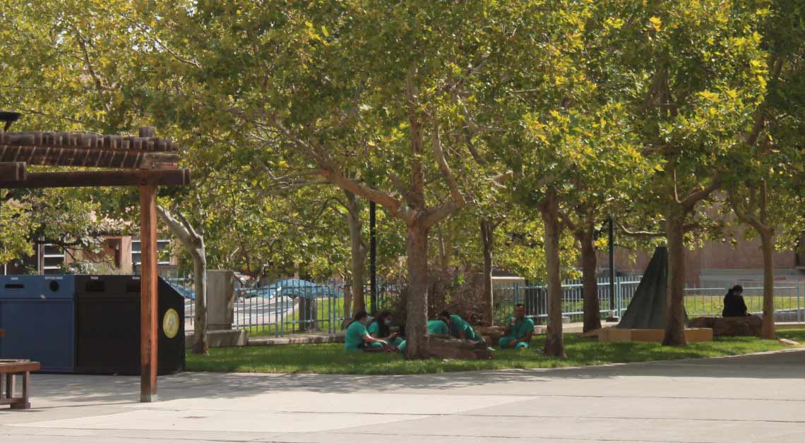 Estudiantes comiendo afuera debajo de los árboles.