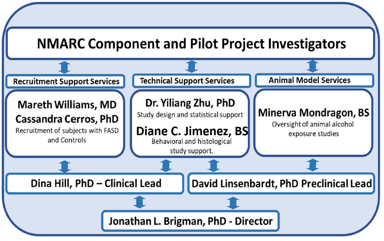 nmarc-org-chart.jpg