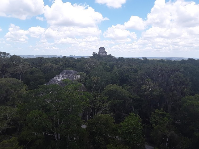 Tikal und der Dschungel