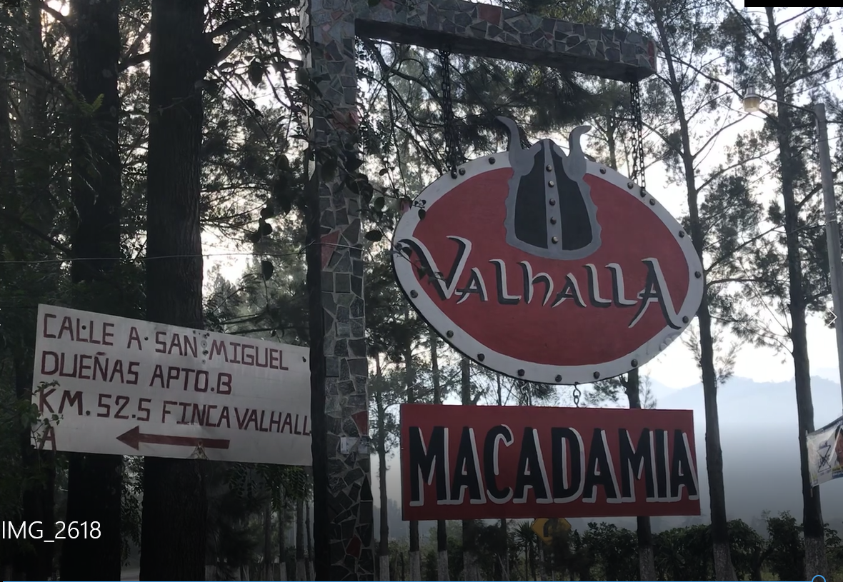 Granja Valhalla Macadamia