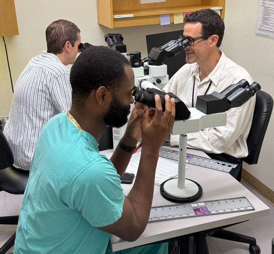 Alex Gross at multi-head microscope