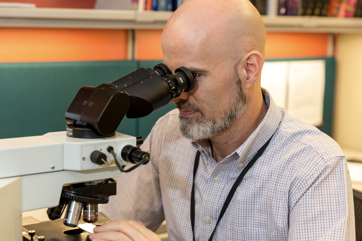 Foto: Pathologe sitzt an seinem Mikroskop und betrachtet Dias