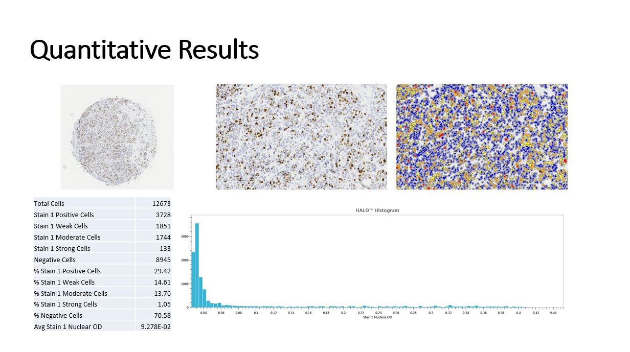 quantitative results halo figure