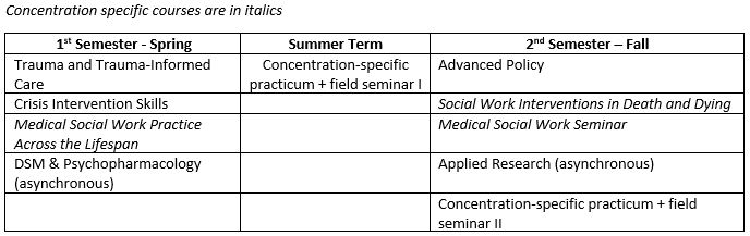 Spring Medical Social Work