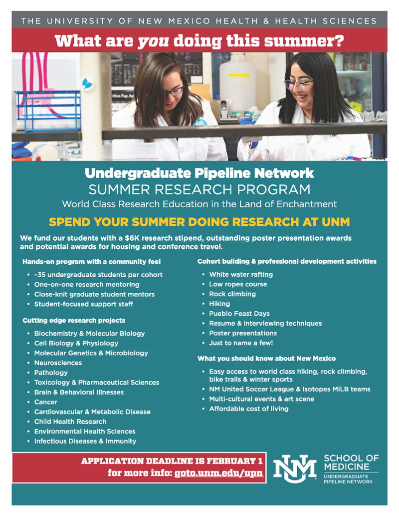 Summer Research Program Flyer