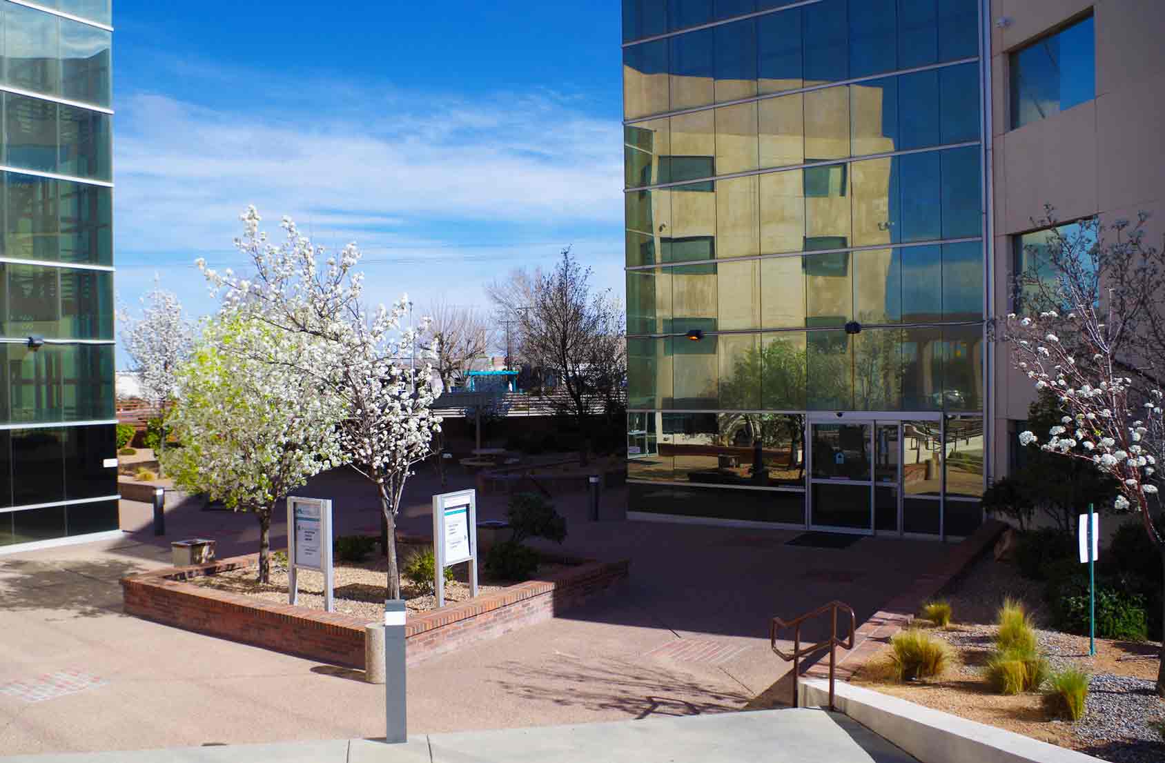 UNM Center for Development and Disability