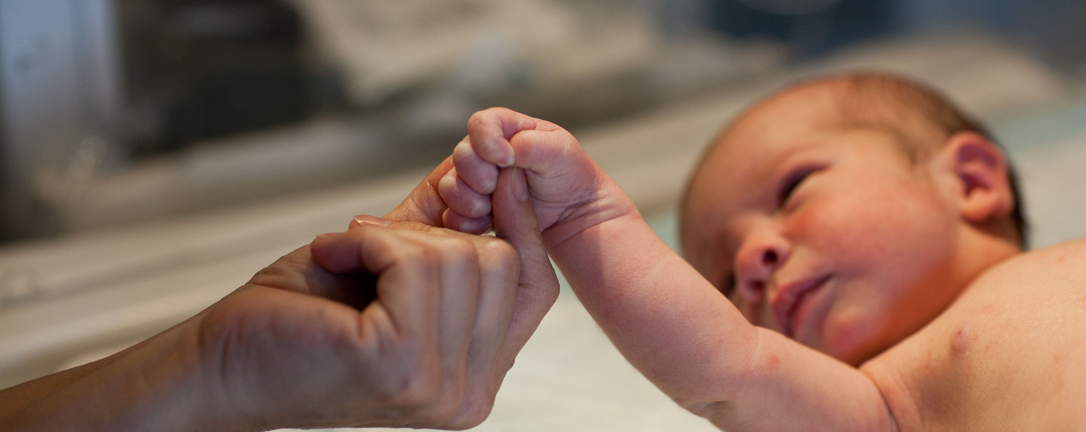An adult gently holding a newborn's hand