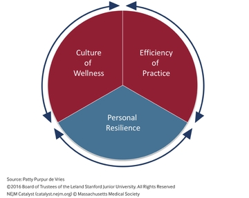 Reciprocal Domains of Physician Wellbeing