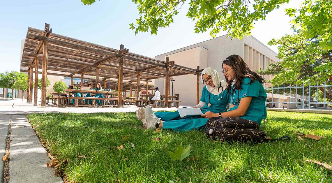 2 students studying under a tree