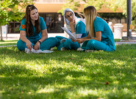students studying on the grass