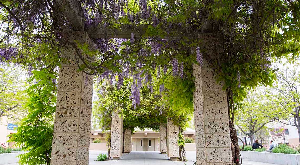 Large pillars canopied by greenery and purple flowers.