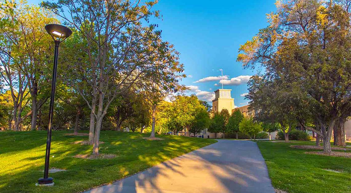 Sidewalk through campus lined with trees.