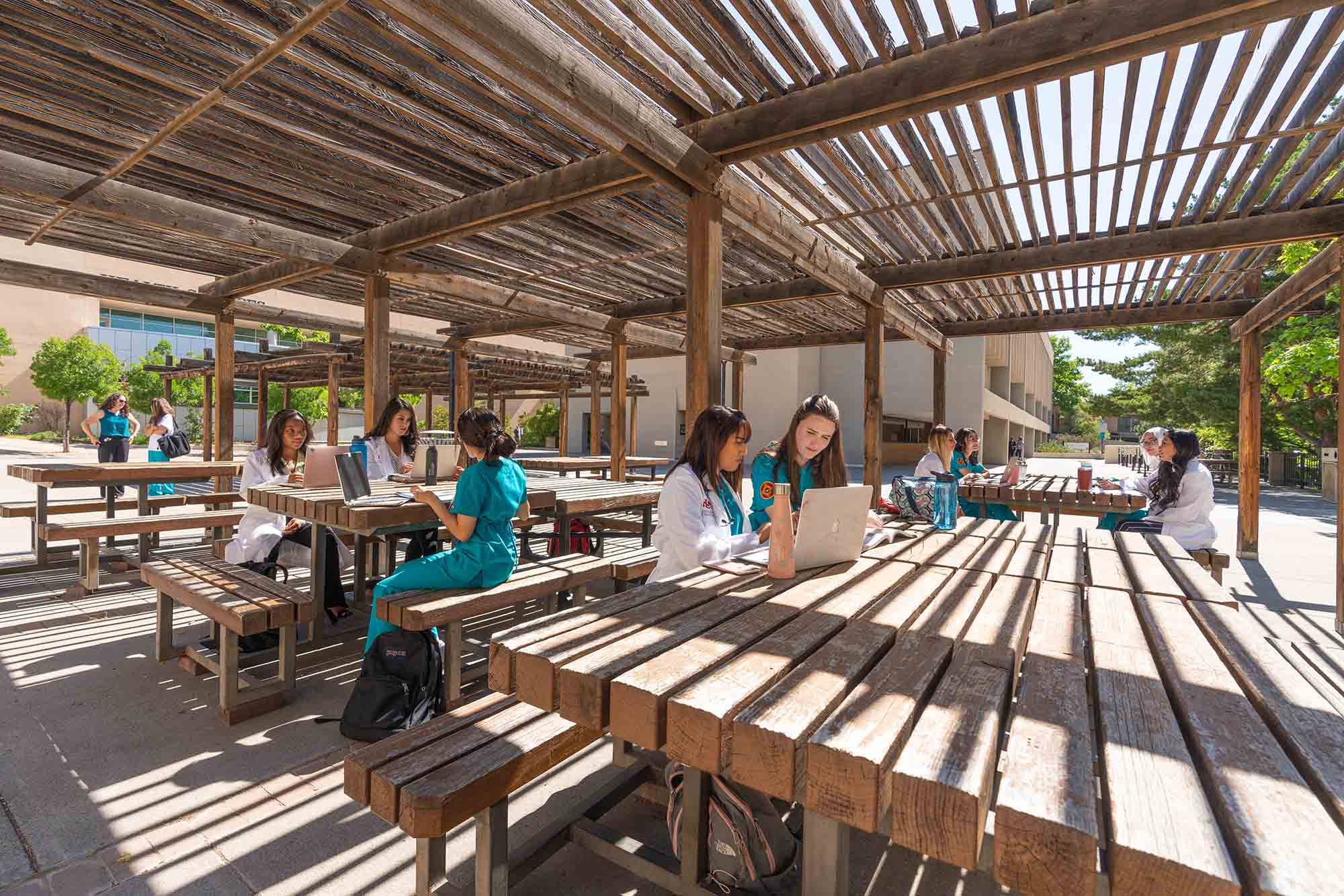 Estudiantes que estudian en mesas bajo pérgolas.