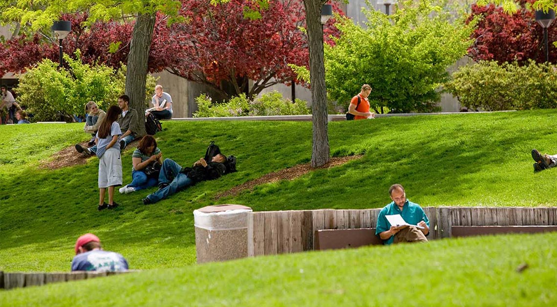 الطلاب على العشب