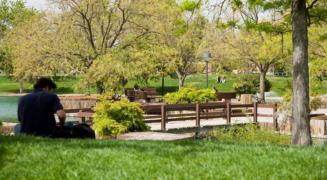 Man readying on grass near duckpond.