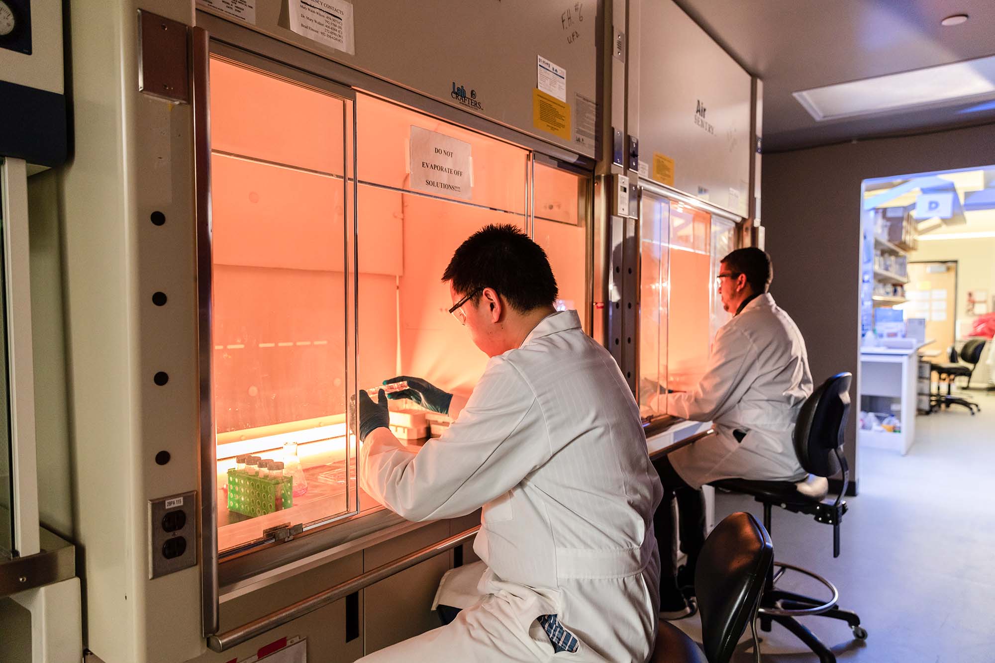 Interior view of RIB - Research Incubator Building