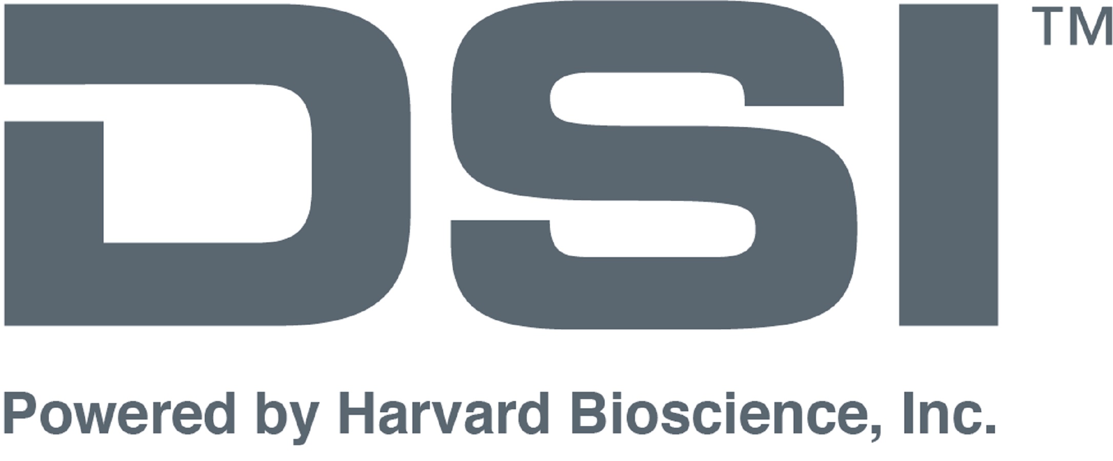 DSI Logo