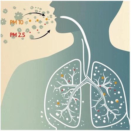 Graphic showing particulates entering lungs.