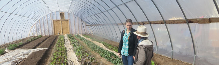 Помощь фермерам в выращивании продуктов питания в Нью-Мексико