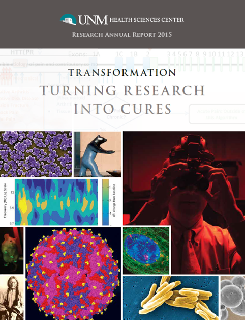 Pagina di copertina del rapporto di ricerca