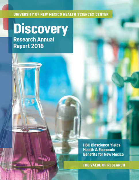 Pagina di copertina del rapporto di ricerca