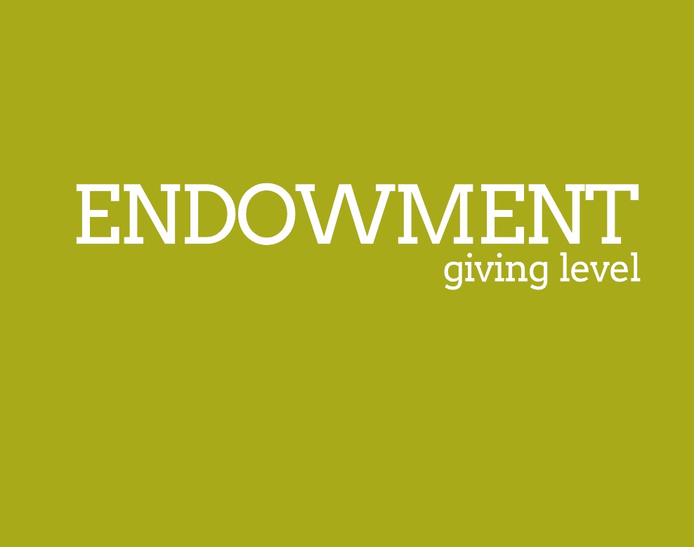 Endowed giving level