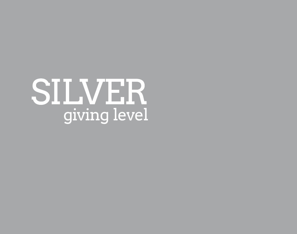 nível de doação de prata